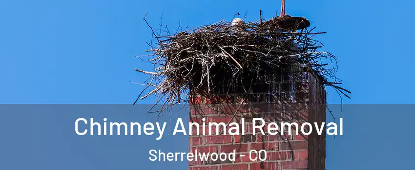 Chimney Animal Removal Sherrelwood - CO