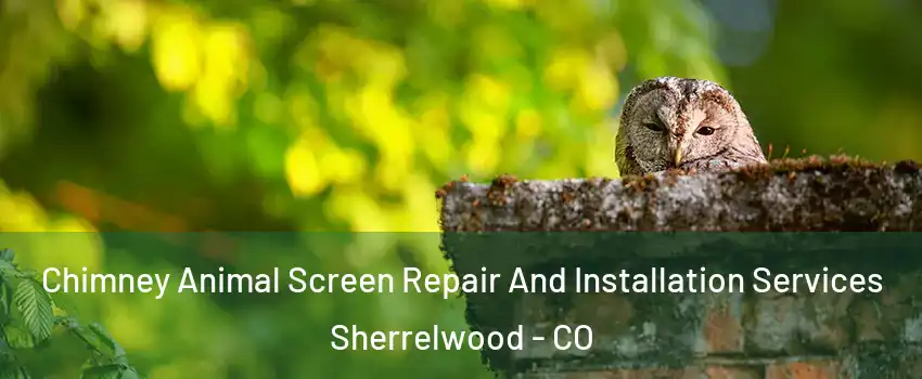  Chimney Animal Screen Repair And Installation Services Sherrelwood - CO