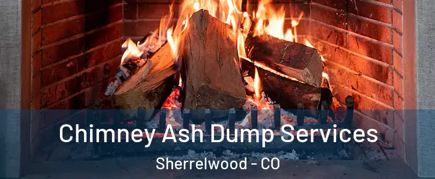  Chimney Ash Dump Services Sherrelwood - CO