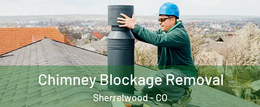  Chimney Blockage Removal Sherrelwood - CO