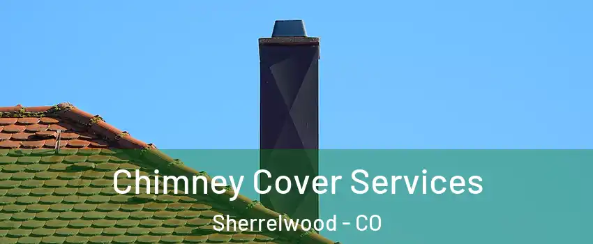 Chimney Cover Services Sherrelwood - CO