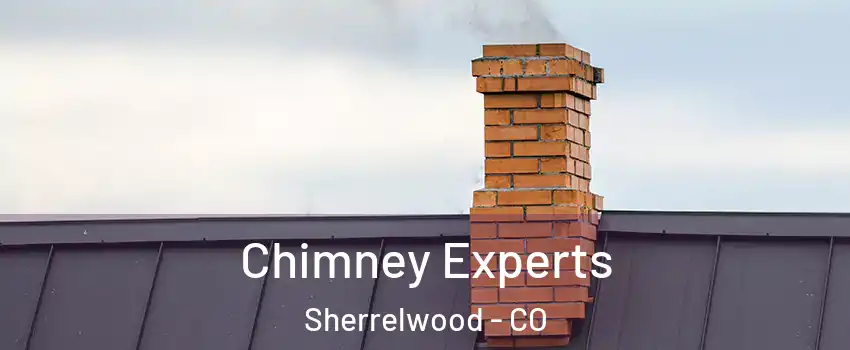 Chimney Experts Sherrelwood - CO