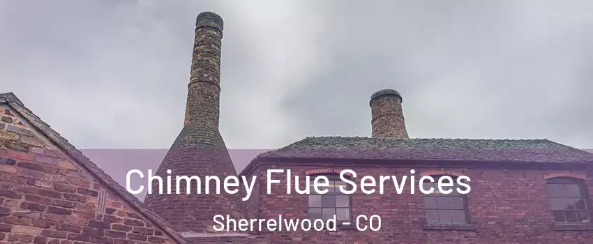  Chimney Flue Services Sherrelwood - CO
