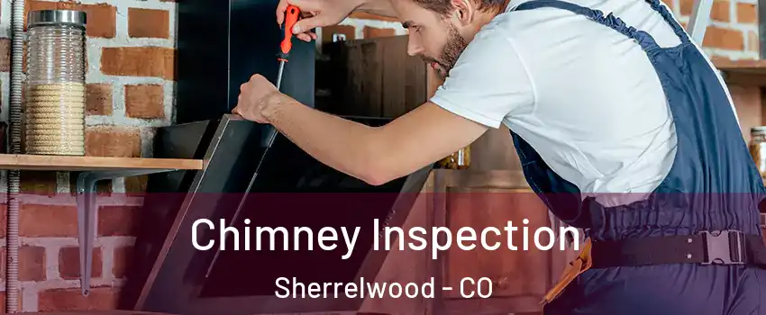  Chimney Inspection Sherrelwood - CO