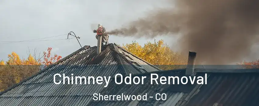  Chimney Odor Removal Sherrelwood - CO