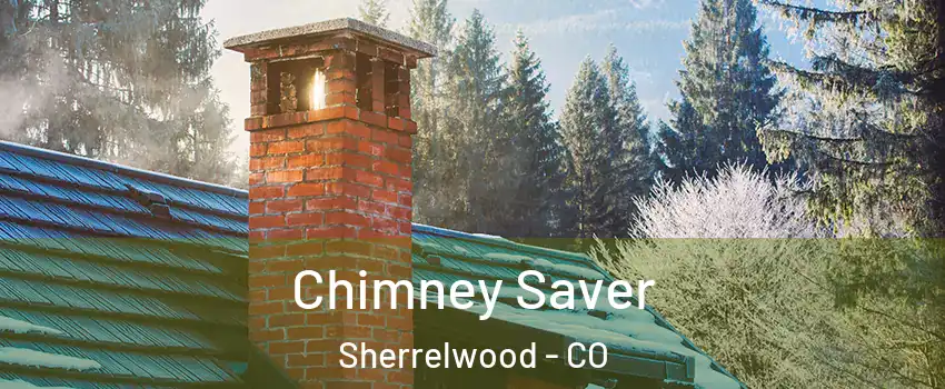  Chimney Saver Sherrelwood - CO