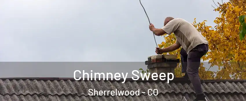  Chimney Sweep Sherrelwood - CO