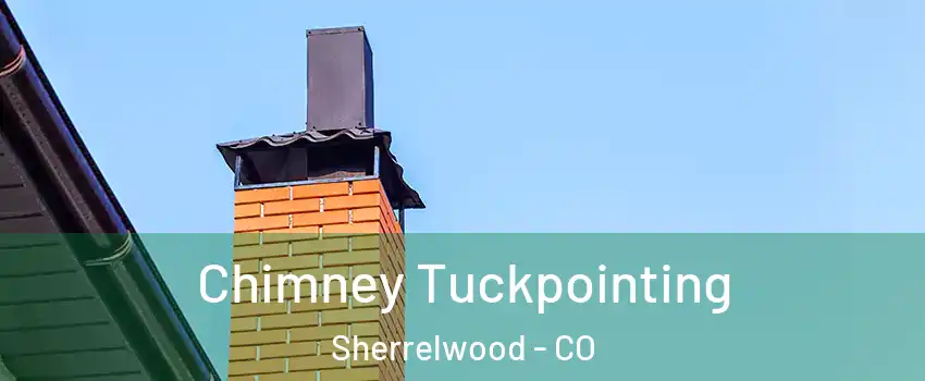  Chimney Tuckpointing Sherrelwood - CO