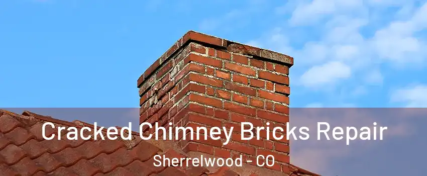  Cracked Chimney Bricks Repair Sherrelwood - CO