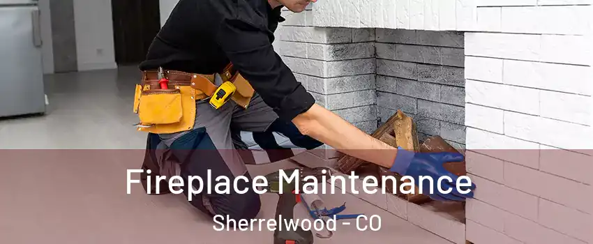  Fireplace Maintenance Sherrelwood - CO