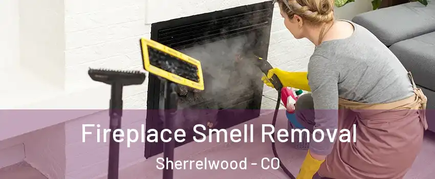  Fireplace Smell Removal Sherrelwood - CO
