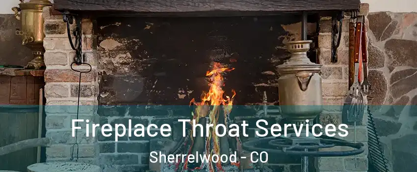  Fireplace Throat Services Sherrelwood - CO