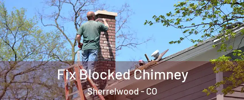  Fix Blocked Chimney Sherrelwood - CO