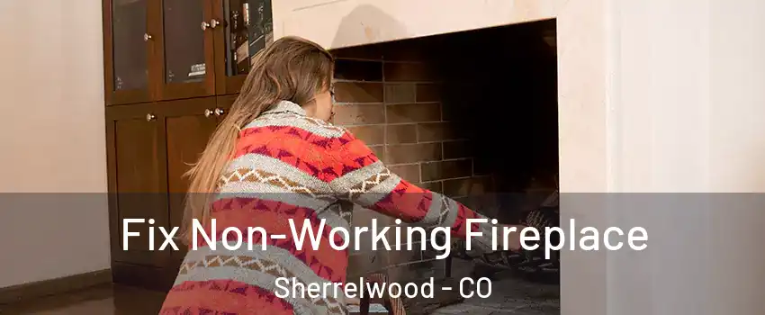  Fix Non-Working Fireplace Sherrelwood - CO