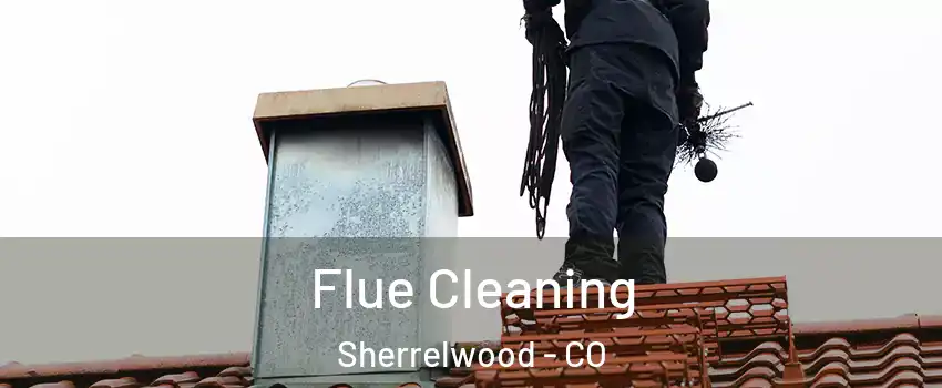  Flue Cleaning Sherrelwood - CO
