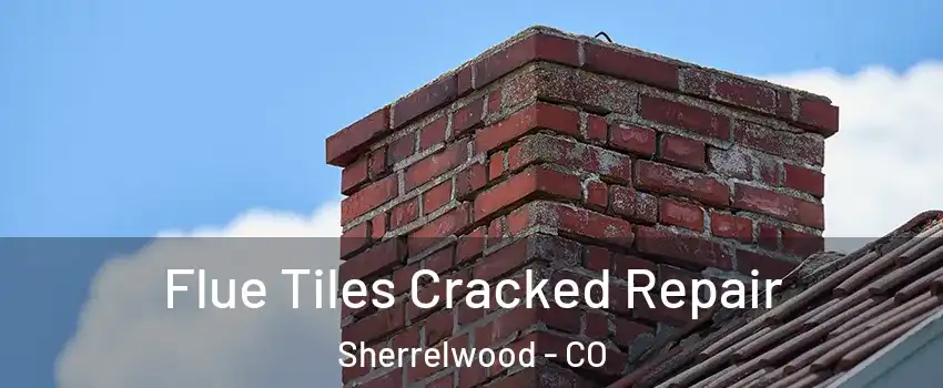  Flue Tiles Cracked Repair Sherrelwood - CO
