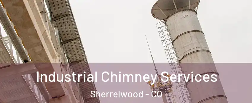  Industrial Chimney Services Sherrelwood - CO