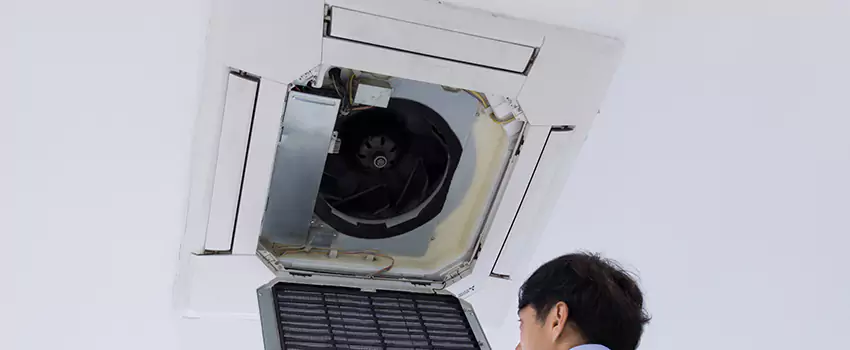 Benefits of Professional Air Duct Cleaning in Sherrelwood, Colorado