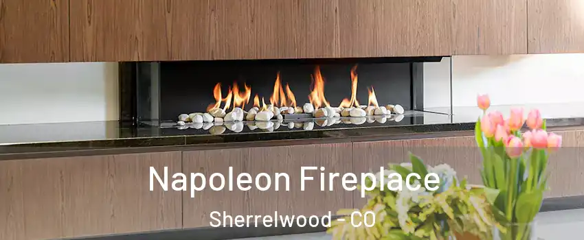  Napoleon Fireplace Sherrelwood - CO