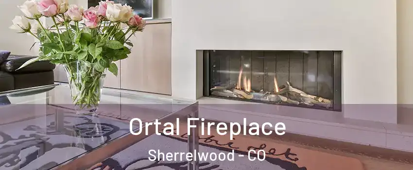 Ortal Fireplace Sherrelwood - CO