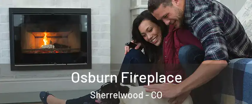  Osburn Fireplace Sherrelwood - CO